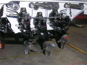 engine surveys